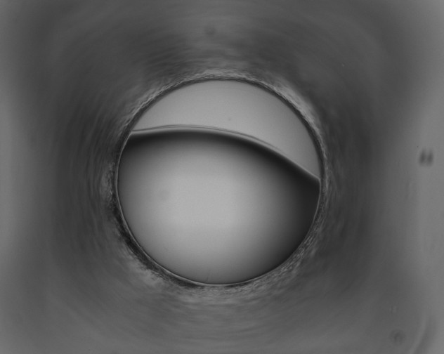 X0000091680009200708231118