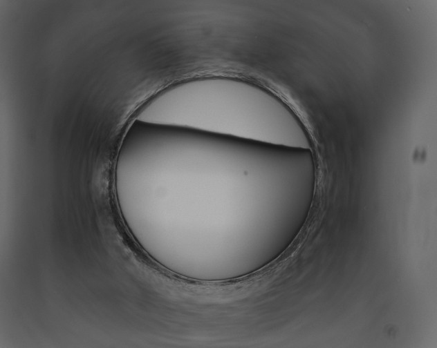 X0000091680010200708231118