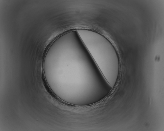 X0000091680011200708231118