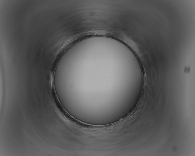 X0000091680013200708231118