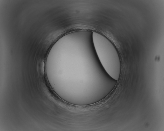 X0000091680014200708231118