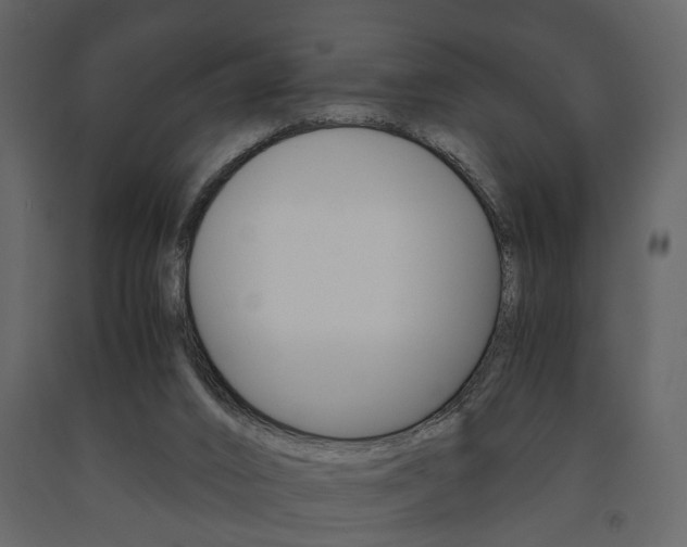 X0000091680016200708231118