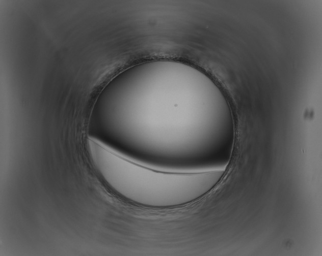 X0000091680017200708231118