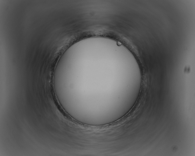 X0000091680018200708231118