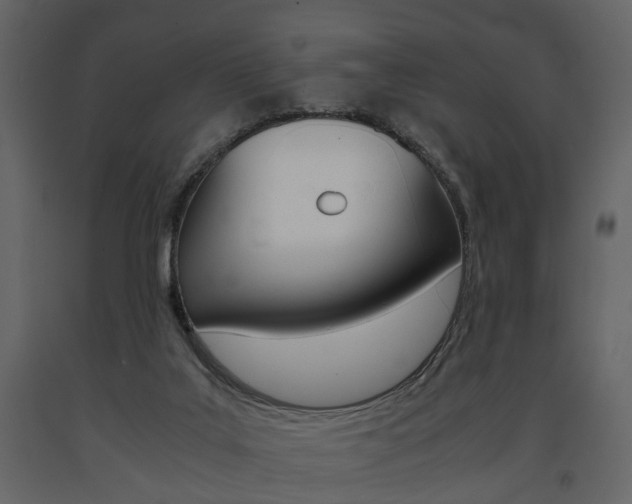 X0000091680019200708231118