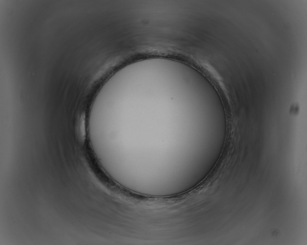X0000091680020200708231118