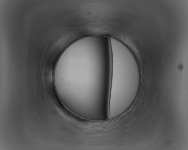X0000091680021200708231118