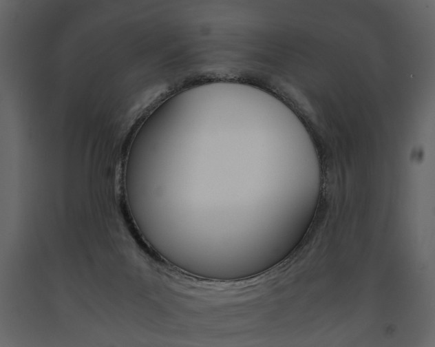 X0000091680023200708231118
