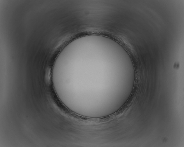 X0000091680024200708231118