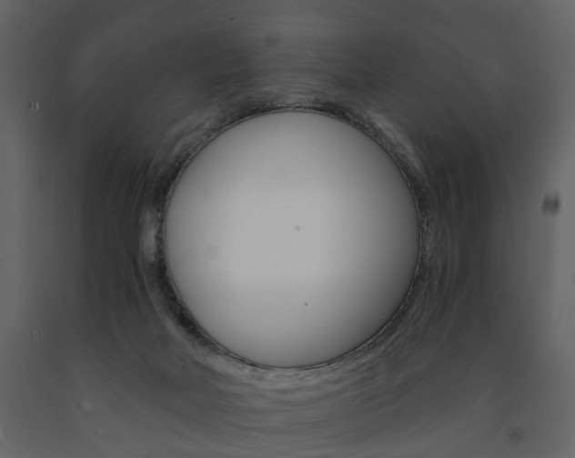 X0000091680026200708231118