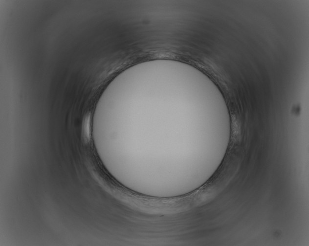 X0000091680028200708231118