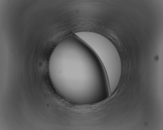 X0000091680029200708231118