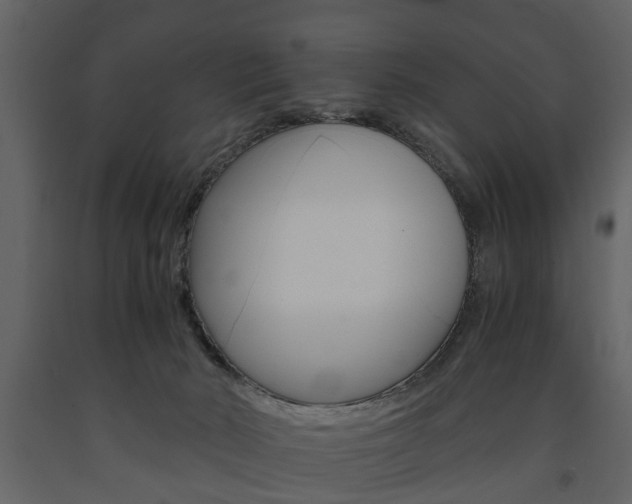 X0000091680030200708231118