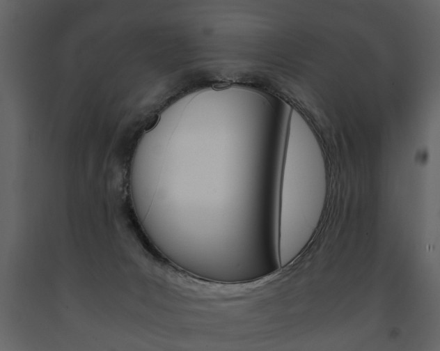 X0000091680031200708231118