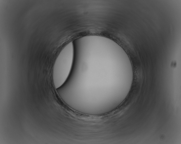 X0000091680032200708231118