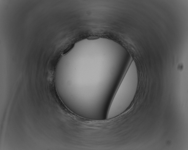 X0000091680033200708231118