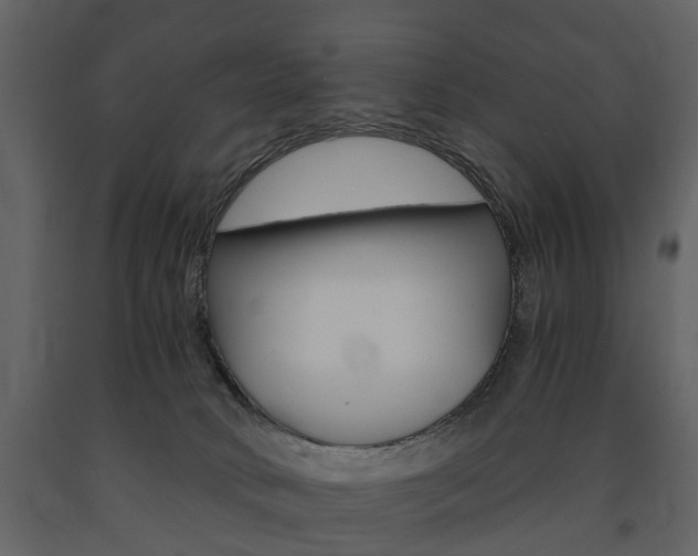 X0000091680034200708231118