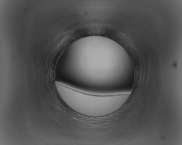 X0000091680035200708231118