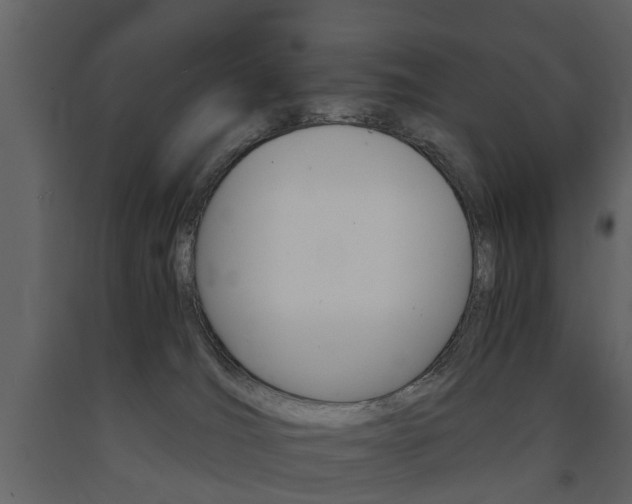 X0000091680036200708231118