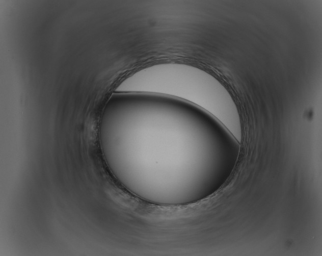 X0000091680037200708231118
