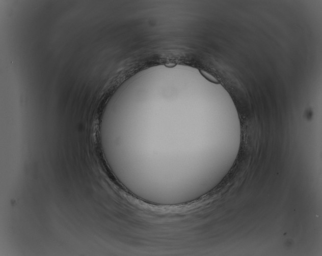X0000091680038200708231118