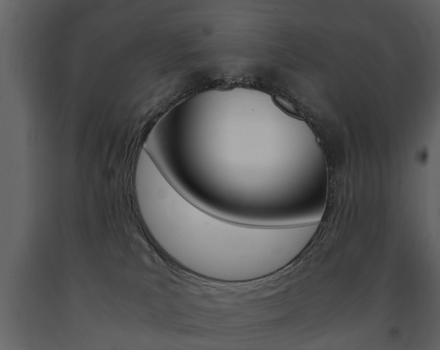 X0000091680039200708231118