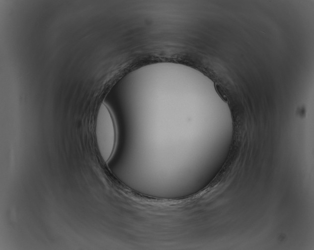 X0000091680040200708231118