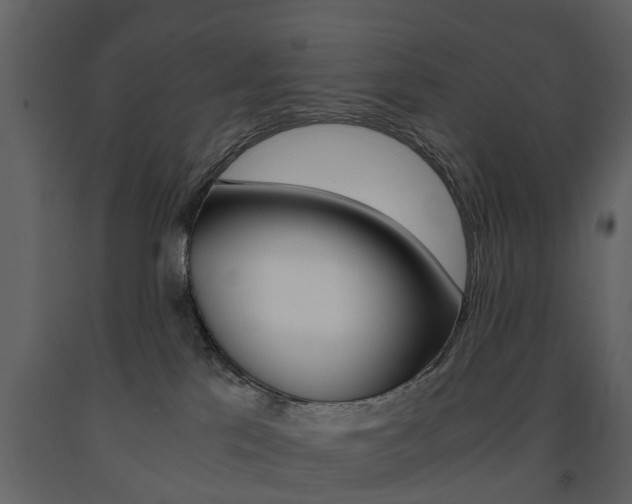 X0000091680041200708231118
