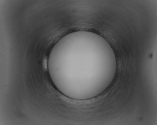 X0000091680042200708231118