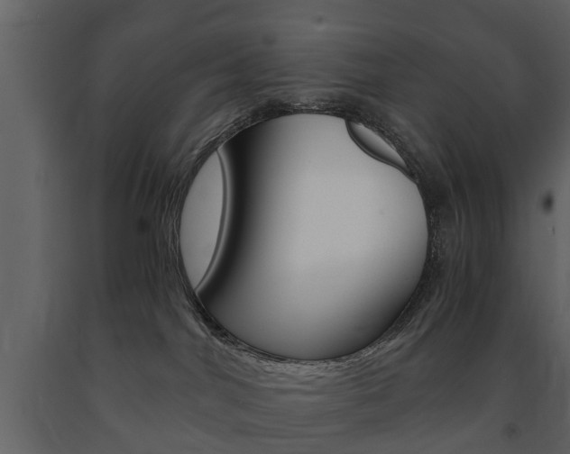 X0000091680044200708231118