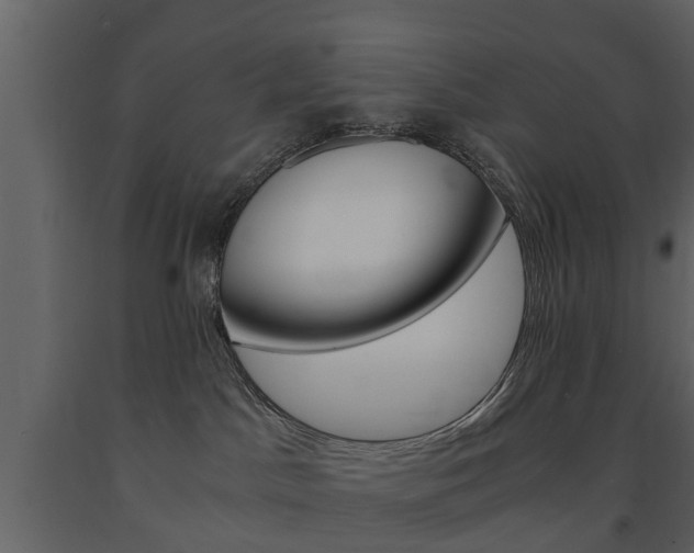 X0000091680045200708231118