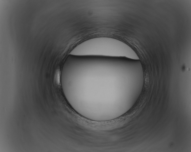 X0000091680046200708231118