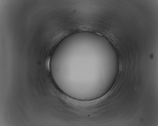 X0000091680047200708231118
