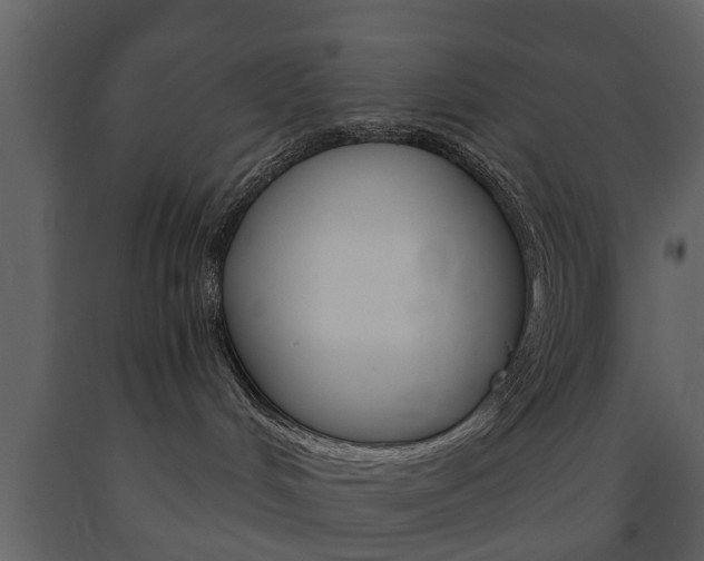 X0000091680048200708231118