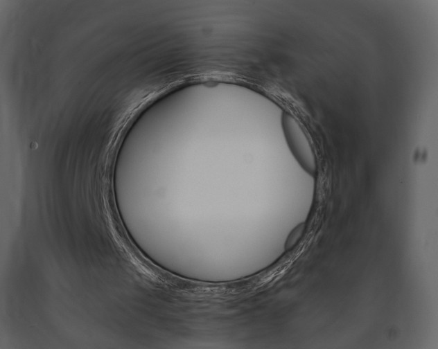 X0000091680049200708231117