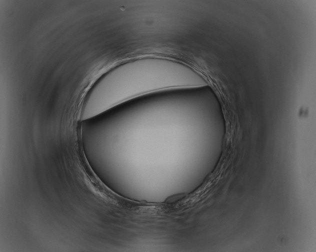 X0000091680050200708231117