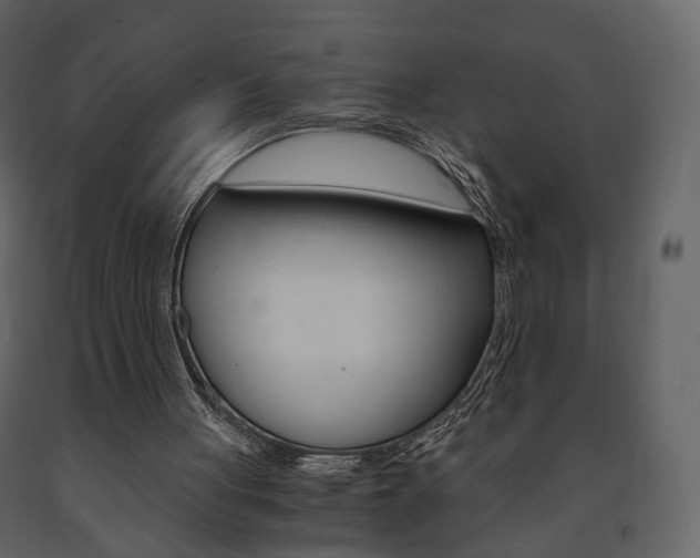 X0000091680051200708231117