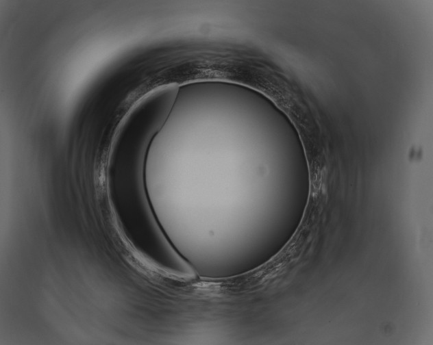 X0000091680052200708231117