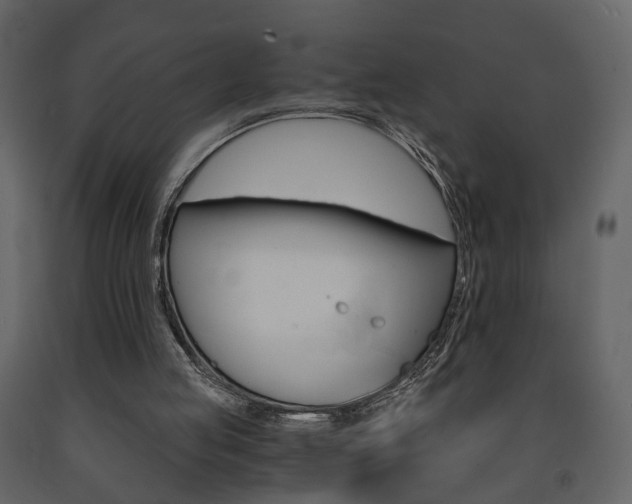 X0000091680053200708231117