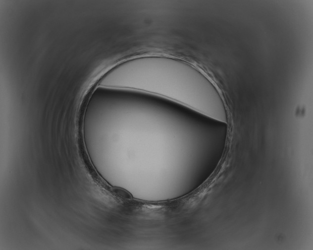 X0000091680055200708231117