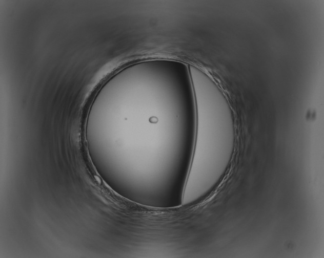 X0000091680056200708231117