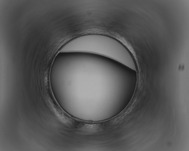 X0000091680057200708231117