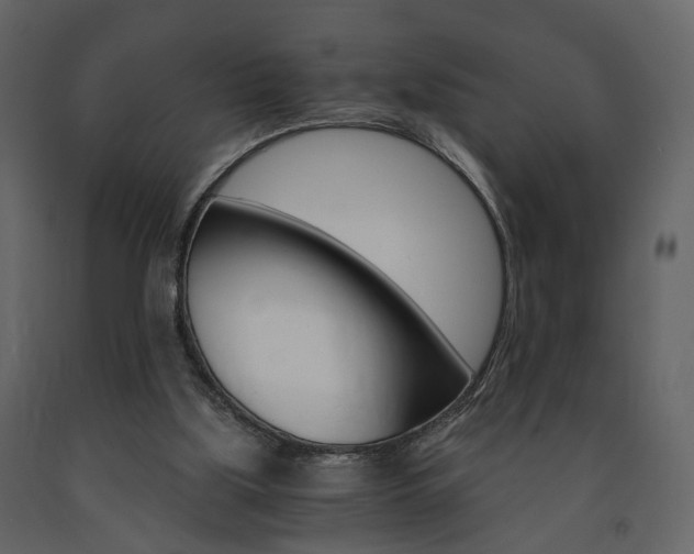 X0000091680059200708231117