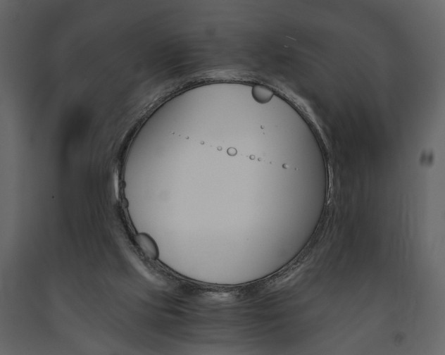 X0000091680061200708231117