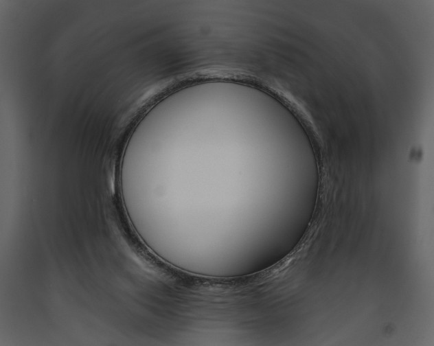 X0000091680062200708231117