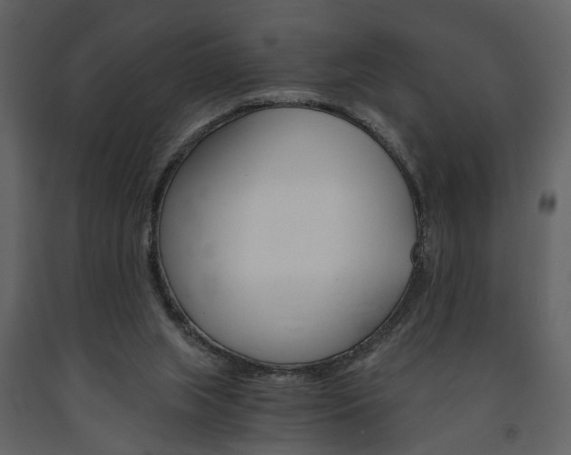 X0000091680063200708231117