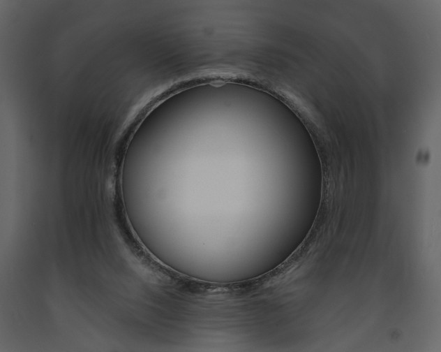 X0000091680064200708231117