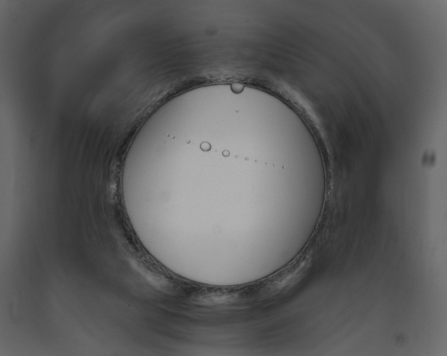 X0000091680065200708231117