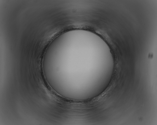 X0000091680066200708231117