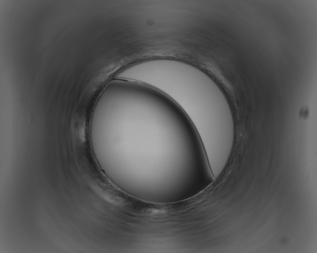 X0000091680068200708231117
